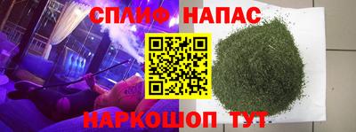 jwh Краснодар