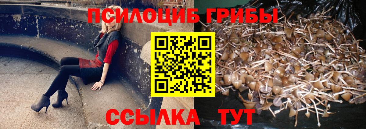Псилоцибиновые грибы ЛСД  Вход с VPN  Зерноград 