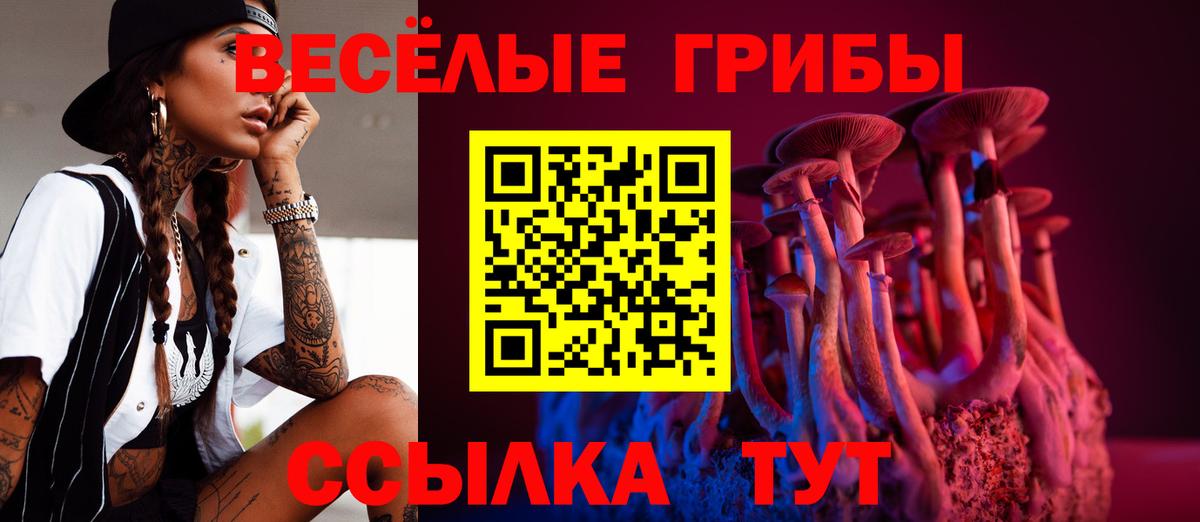 Галлюциногенные грибы MAGIC MUSHROOMS Зерноград